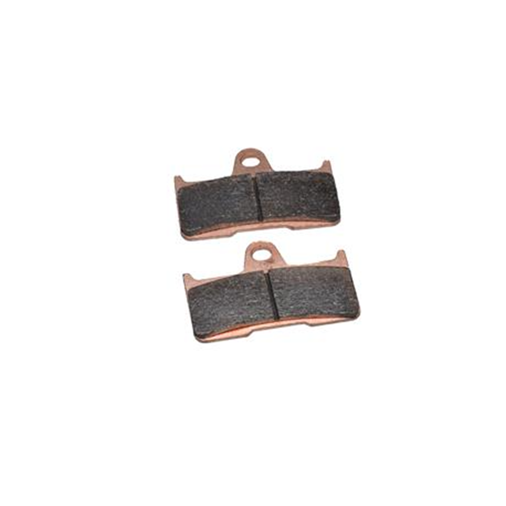 SEGWAY SNARLER570 ÖZEL SERİ ARKA DİSK BALATASI TAKIMI ORİJİNAL