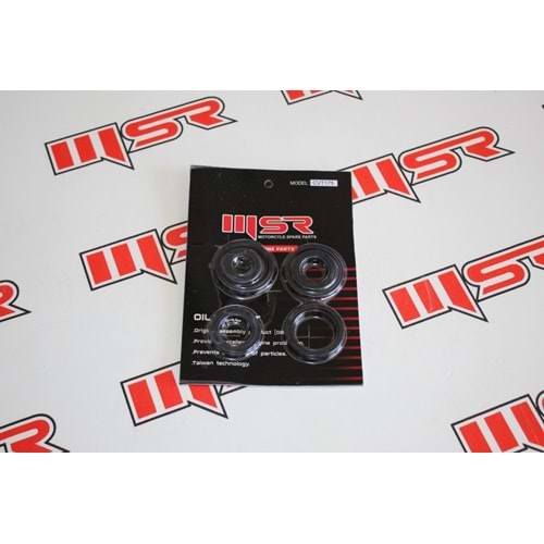 LX200 ATV KEÇE TAKIMI