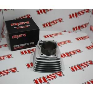 250CG 81 BOY 65,5 MM BOŞ SİLİNDİR 8PETEK
